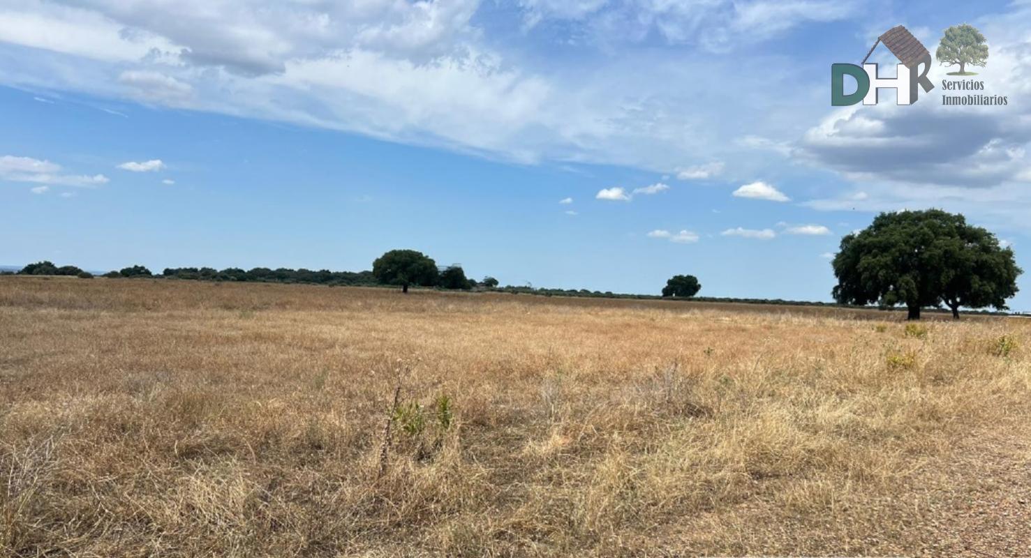 For sale of land in Cáceres