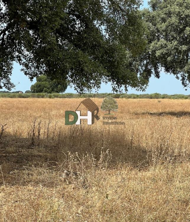 Venta de terreno en Cáceres