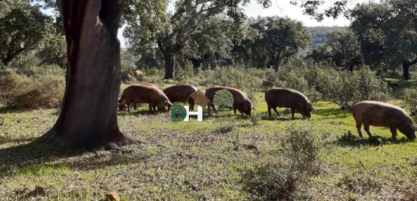Venta de terreno en Badajoz