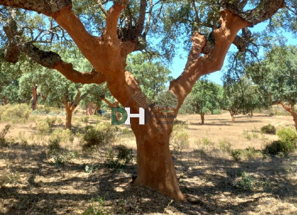 Venta de terreno en Badajoz