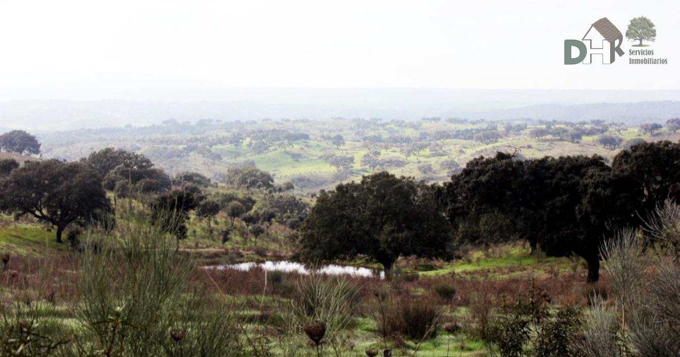 Venta de terreno en Cáceres