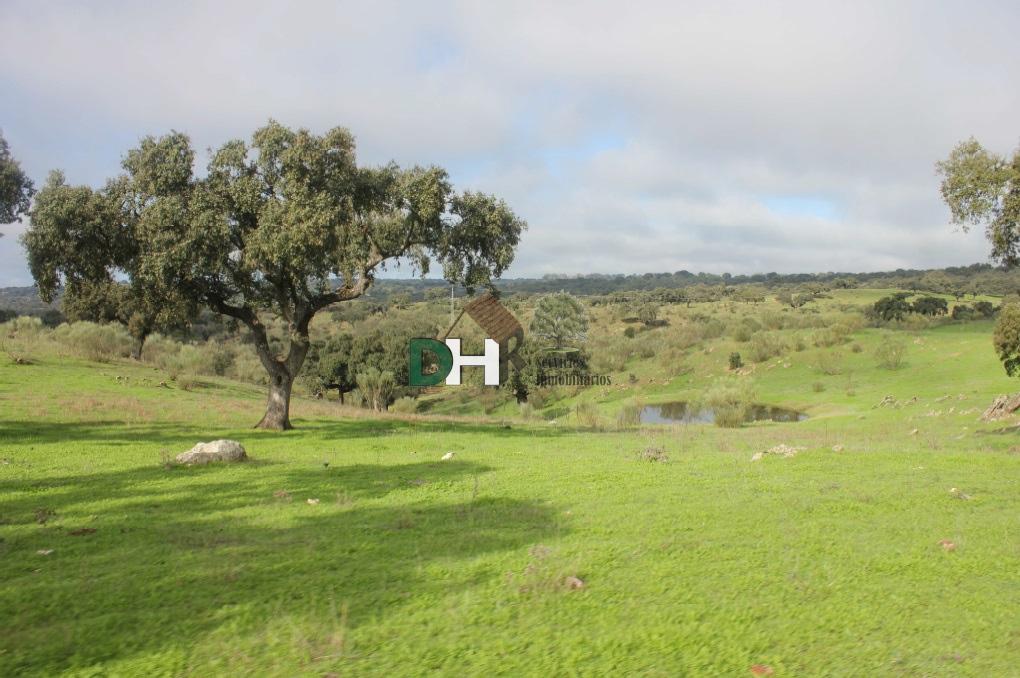 Venta de terreno en Cáceres