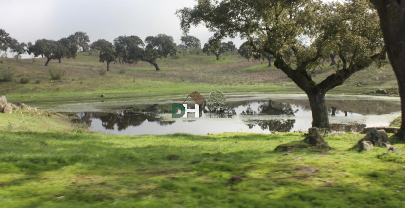 Venta de terreno en Cáceres