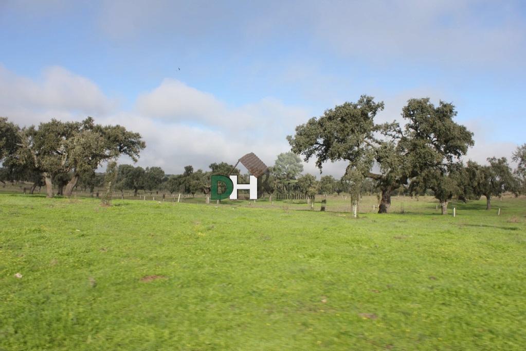 Venta de terreno en Cáceres