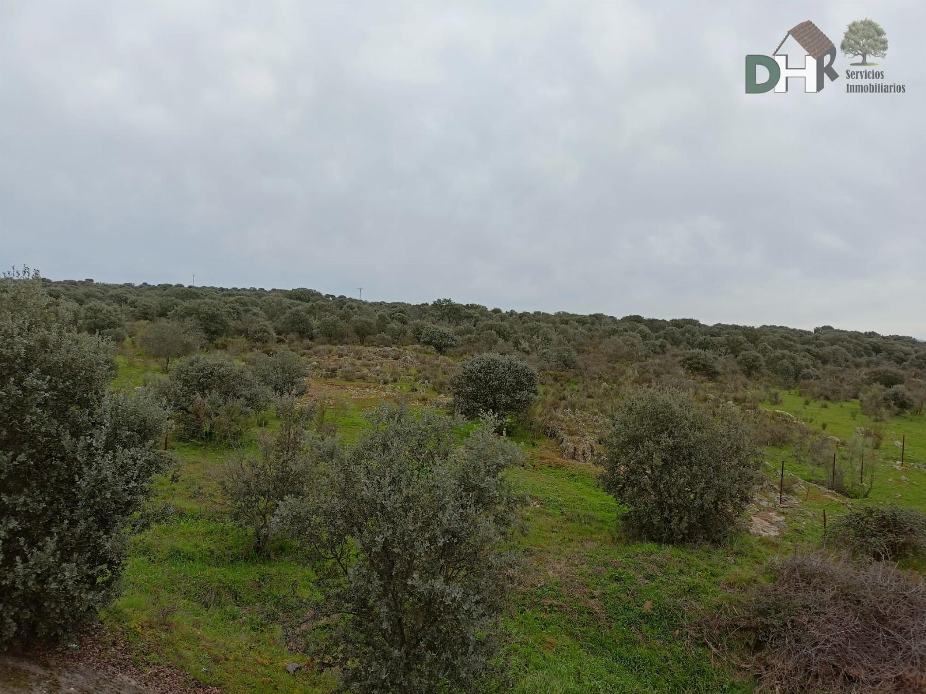 For sale of land in Cáceres