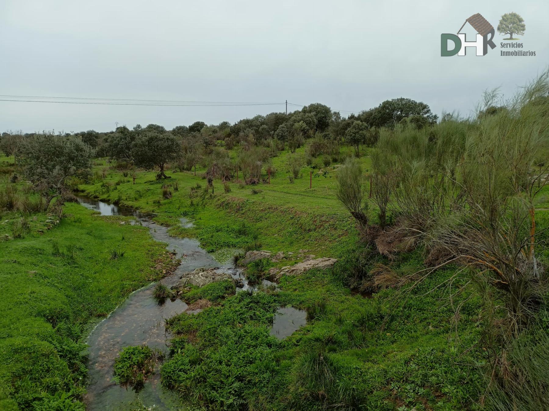 For sale of land in Cáceres