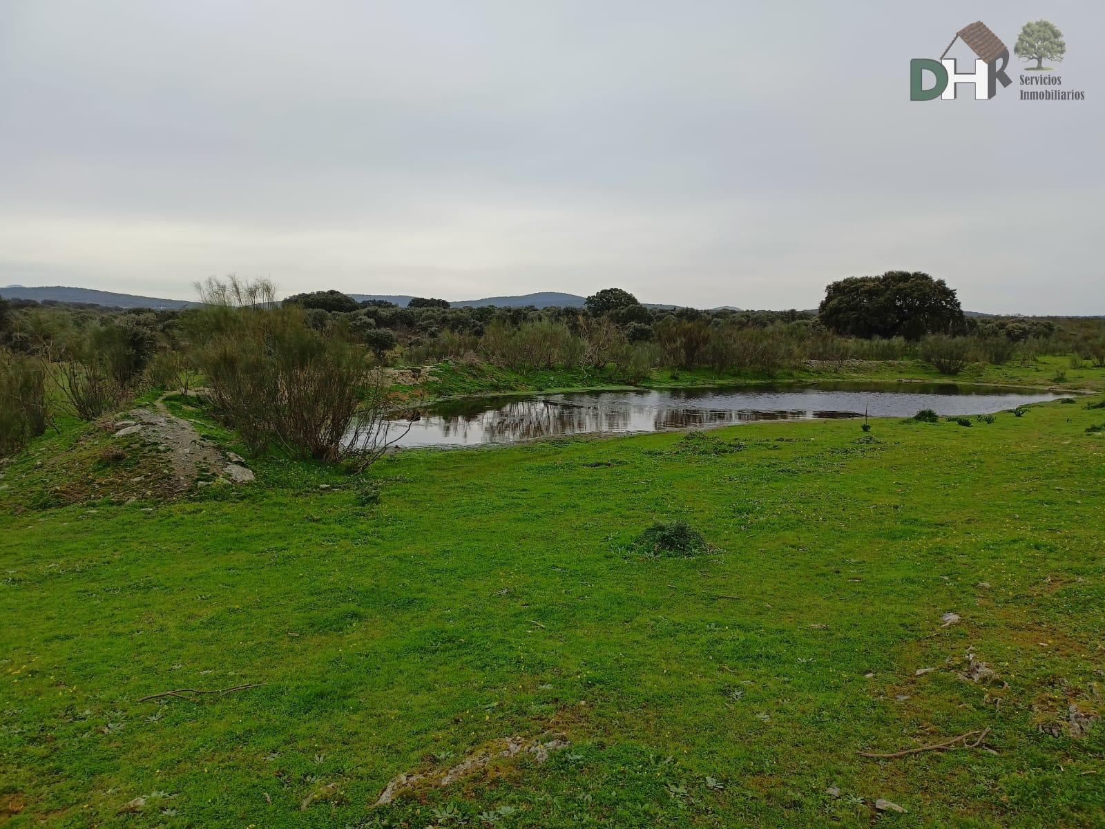 For sale of land in Cáceres