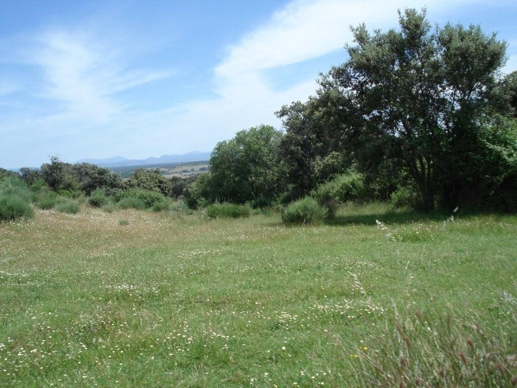 For sale of land in Cáceres
