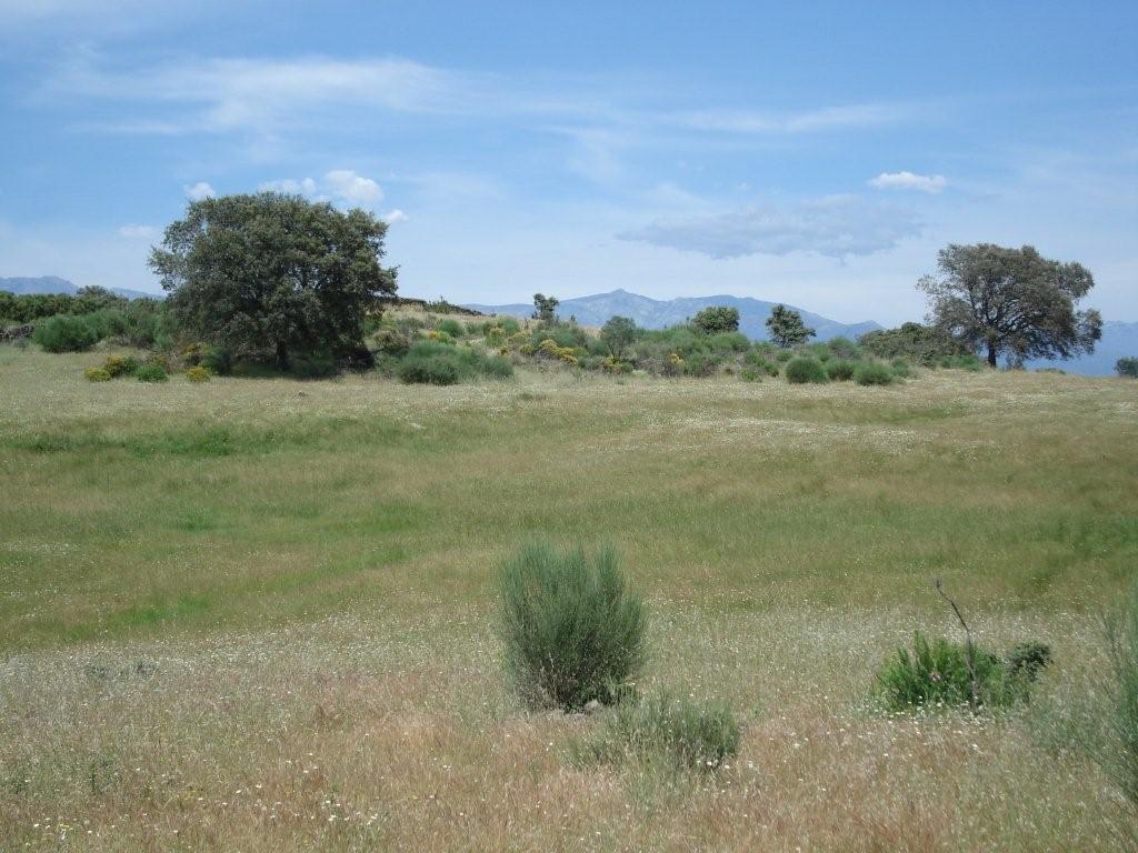 For sale of land in Cáceres