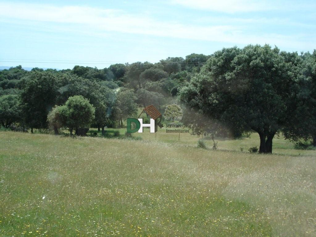 For sale of land in Cáceres