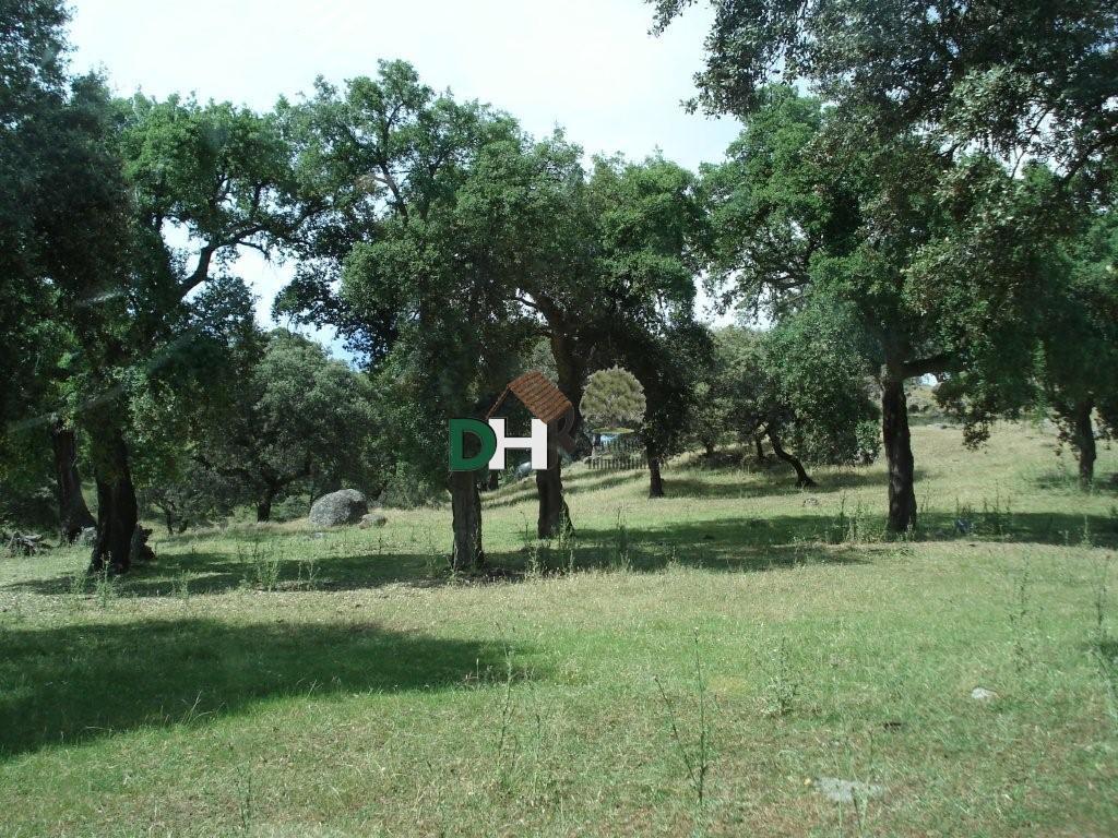 For sale of land in Cáceres