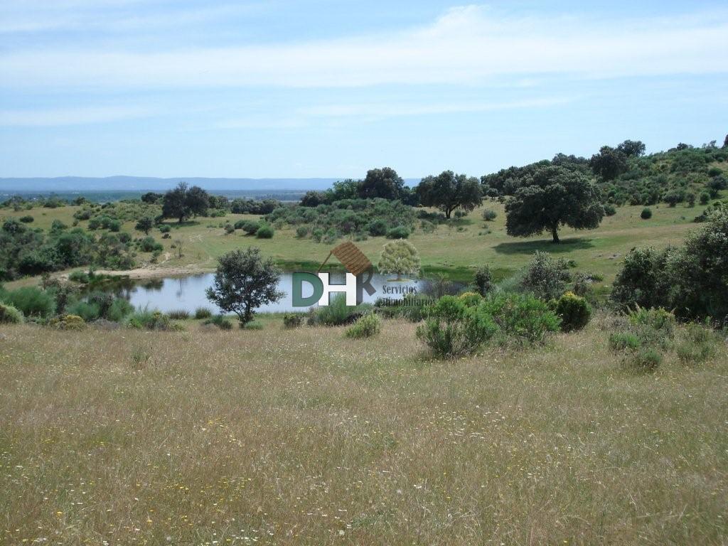 For sale of land in Cáceres