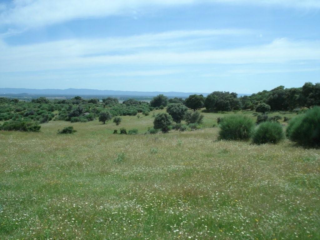 For sale of land in Cáceres