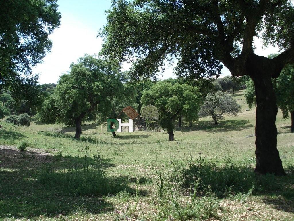 For sale of land in Cáceres