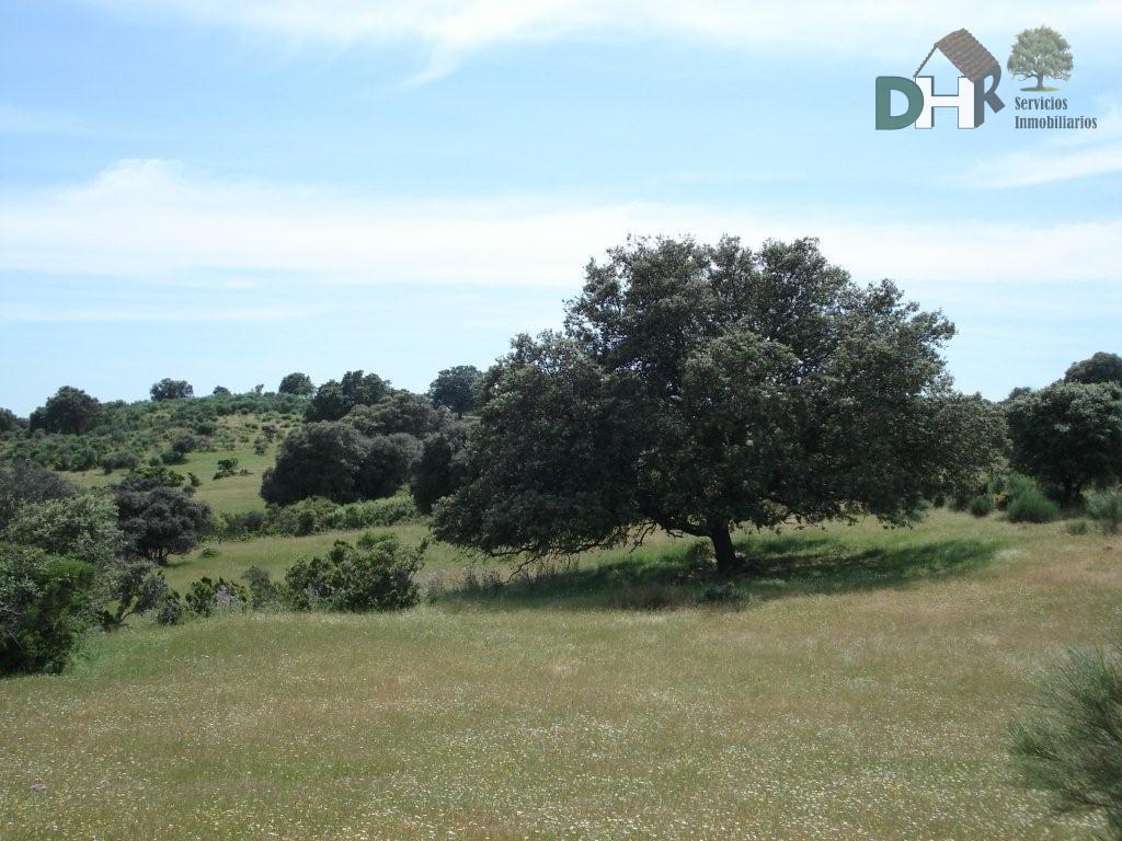 For sale of land in Cáceres