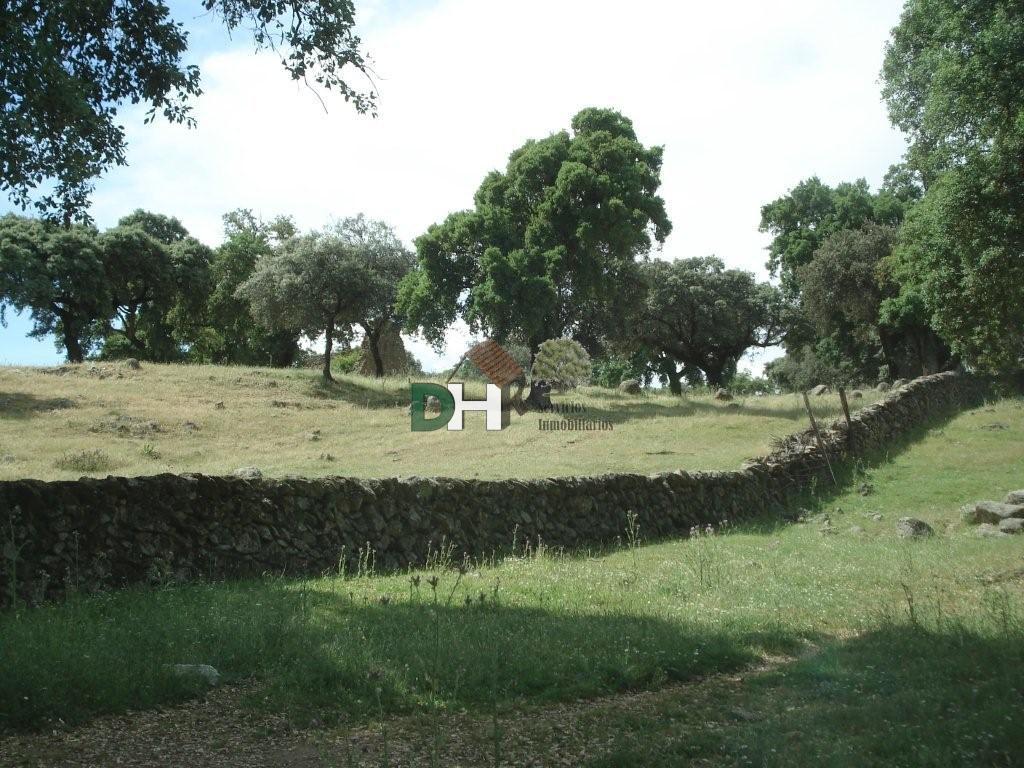 For sale of land in Cáceres