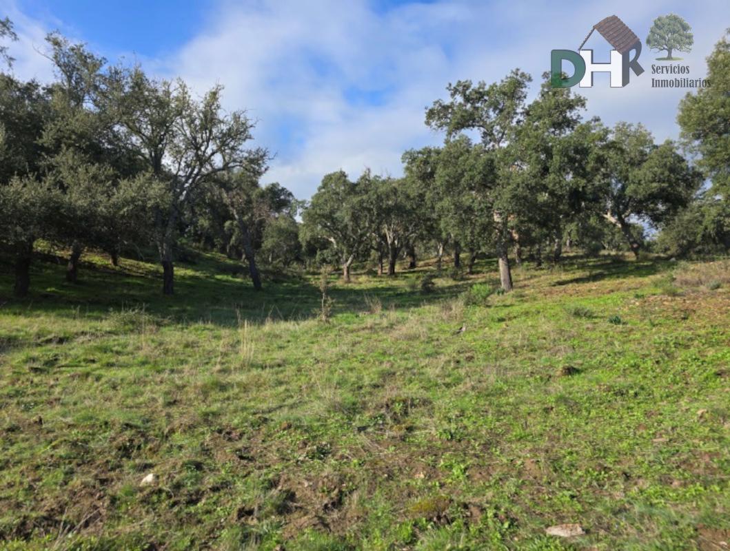 Venta de terreno en Cáceres