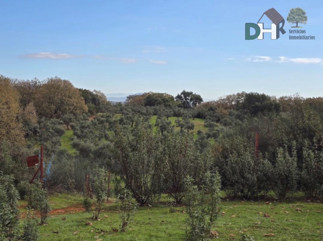 Venta de terreno en Cáceres