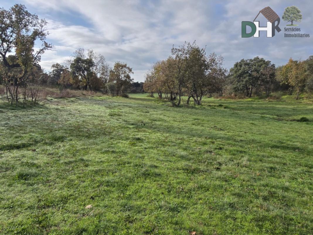 Venta de terreno en Cáceres