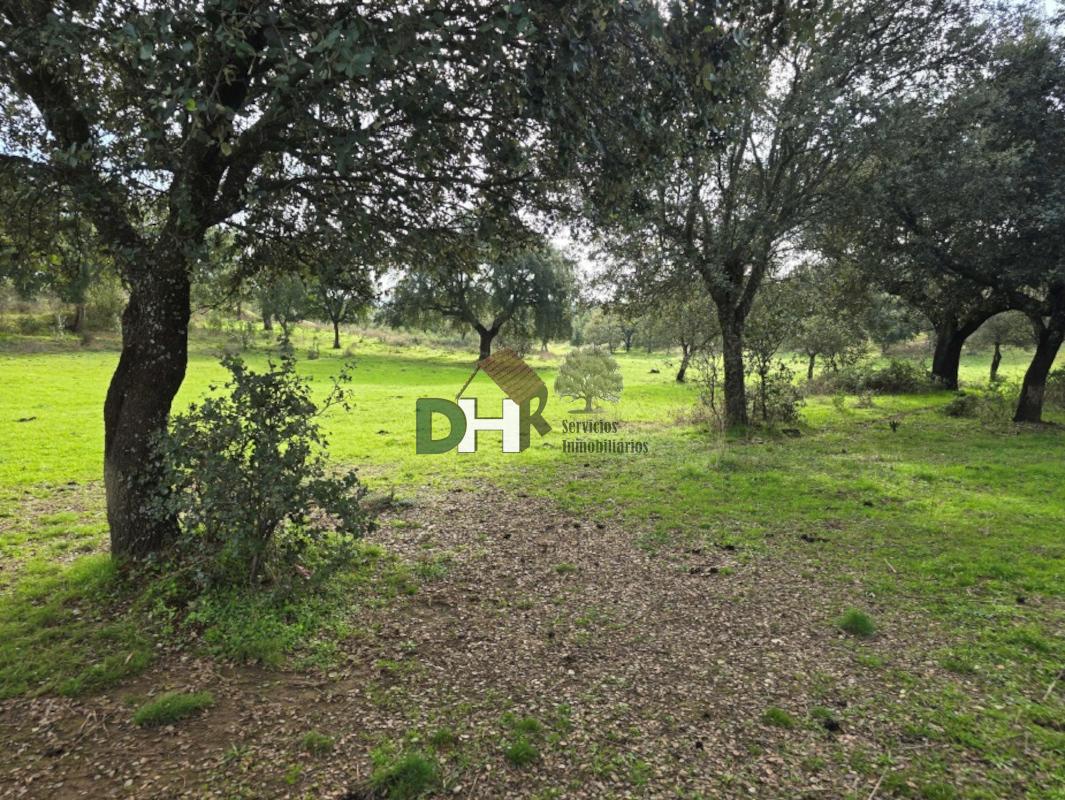 Venta de terreno en Cáceres