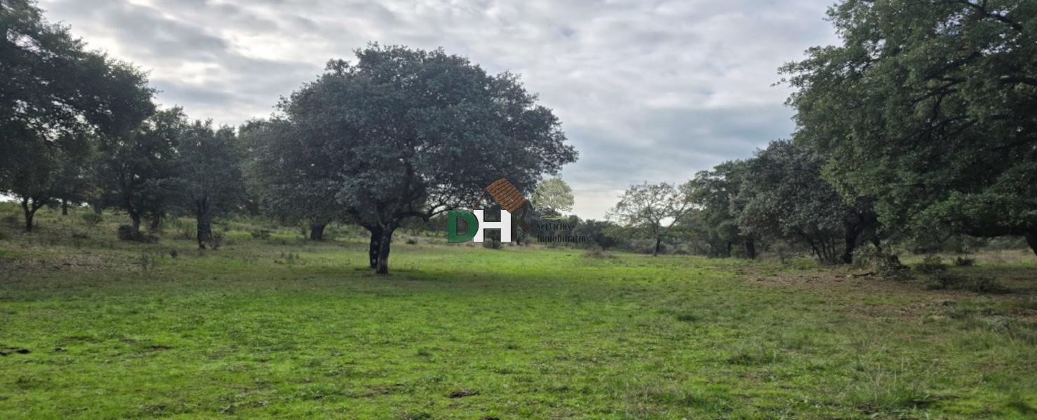Venta de terreno en Cáceres