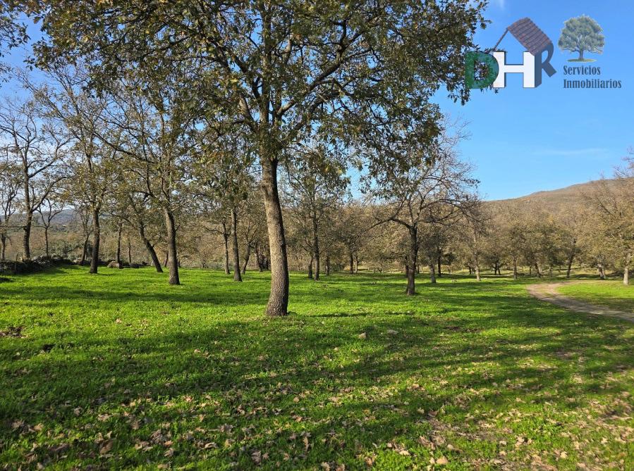 For sale of land in Cáceres