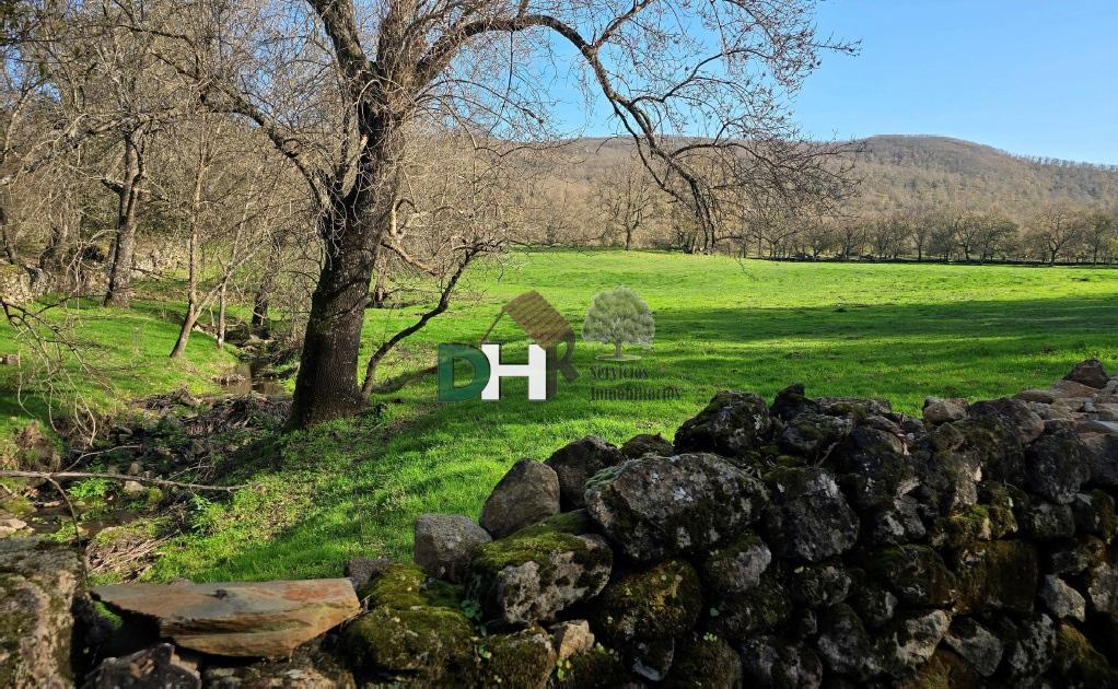 For sale of land in Cáceres
