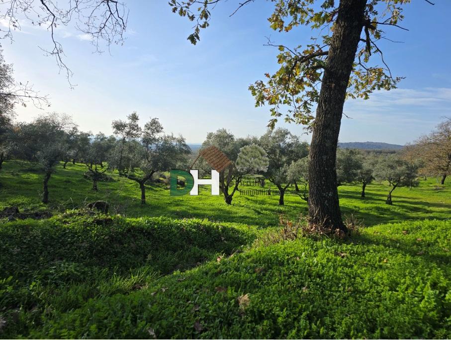 For sale of land in Cáceres