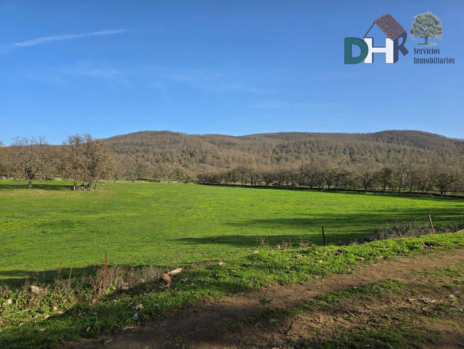 For sale of land in Cáceres