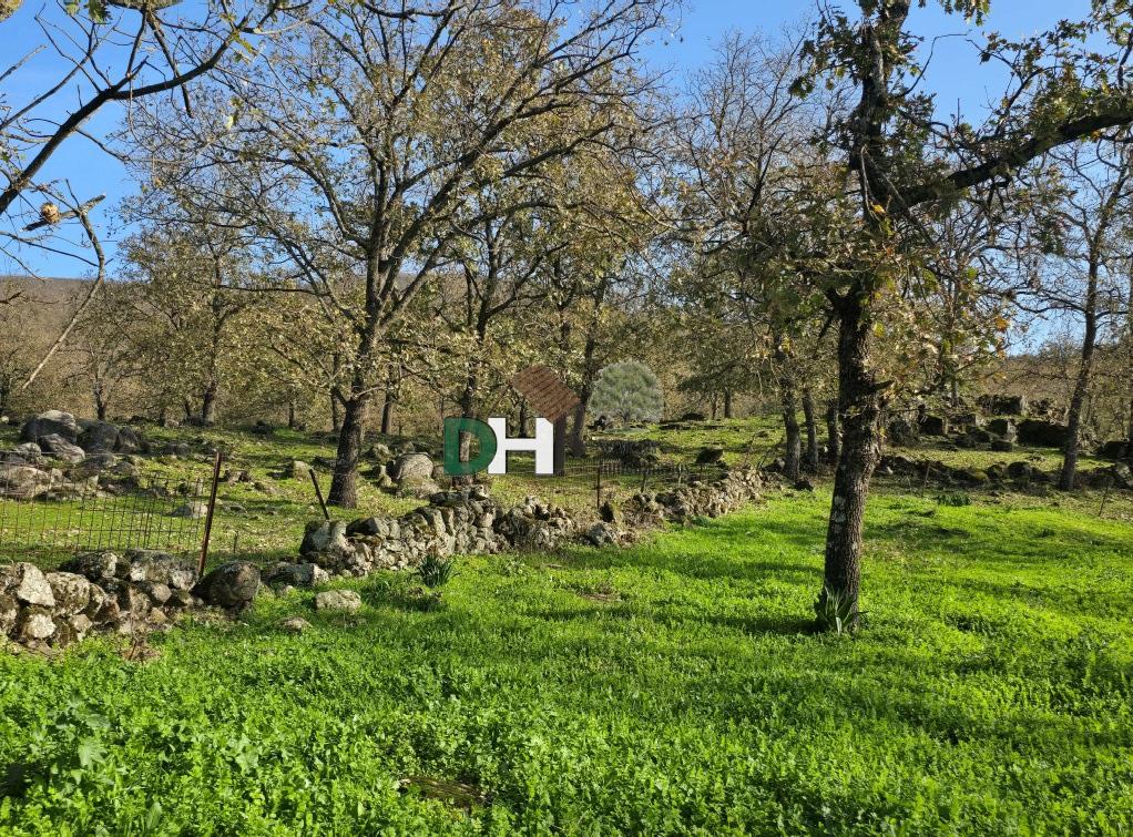 For sale of land in Cáceres