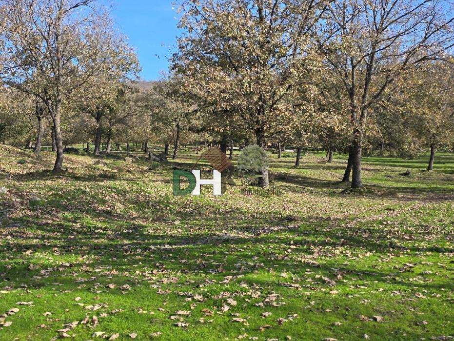 For sale of land in Cáceres