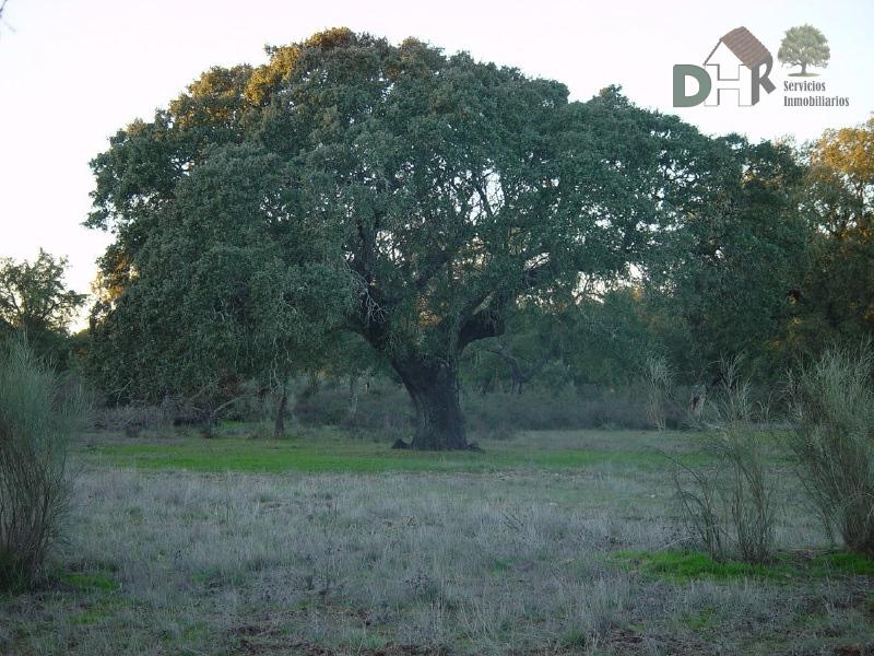 For sale of land in Badajoz