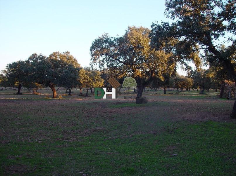 For sale of land in Badajoz