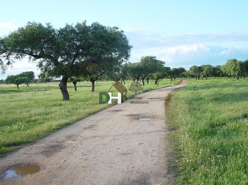 For sale of land in Badajoz