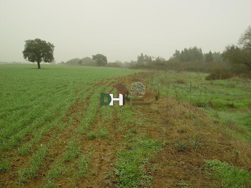 For sale of land in Badajoz