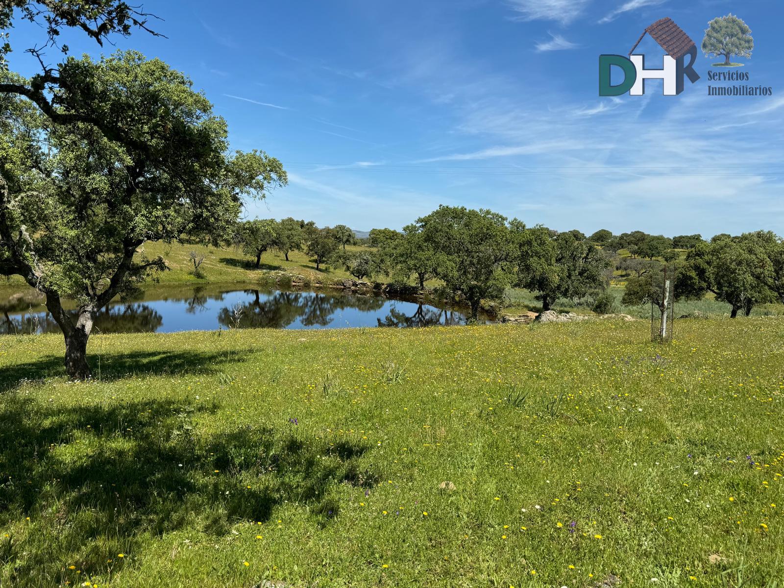 For sale of land in Cáceres