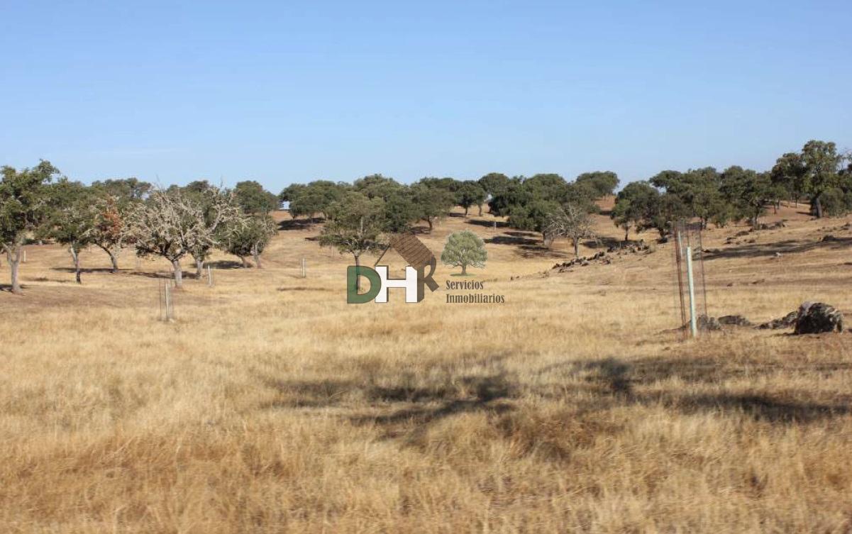 For sale of land in Cáceres