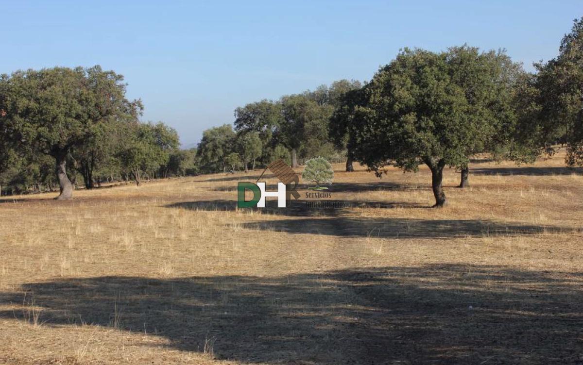 For sale of land in Cáceres