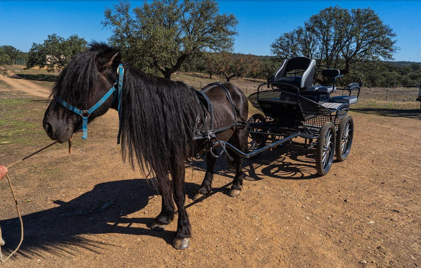 Venta de terreno en Cáceres