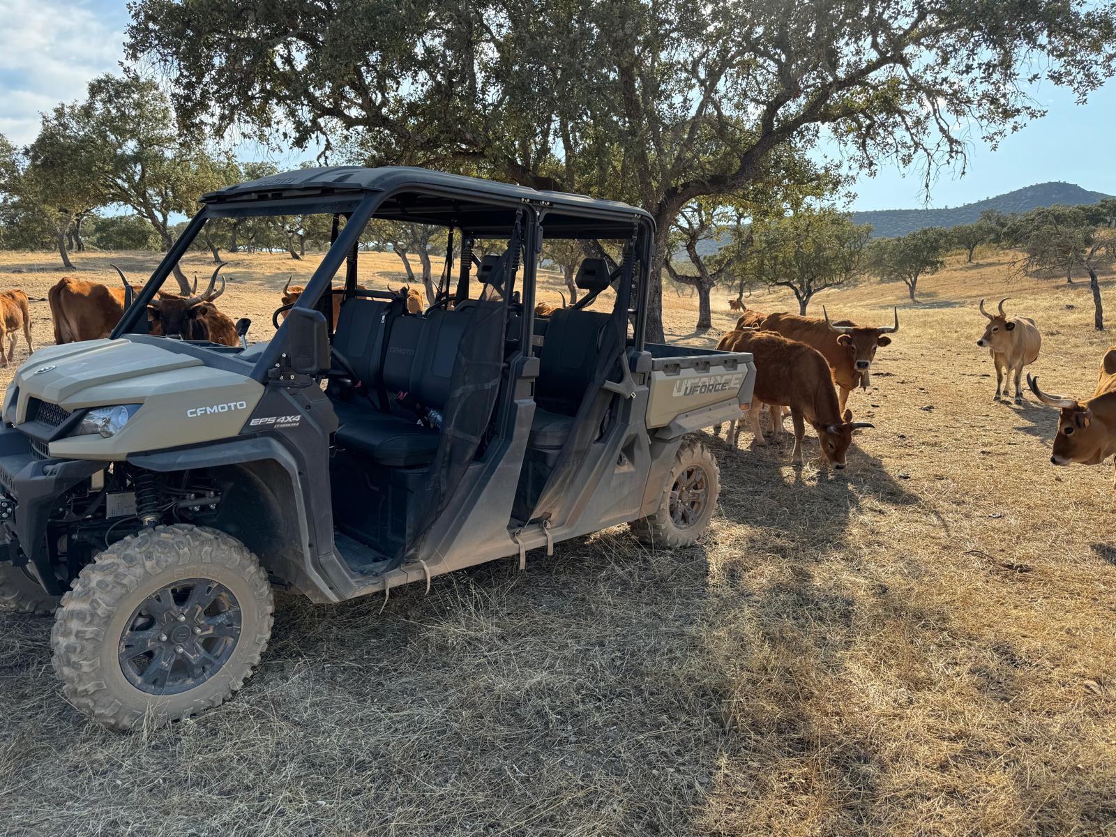 Venta de terreno en Cáceres