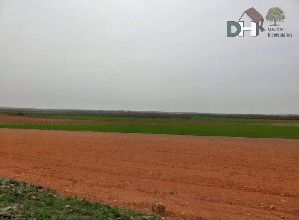 For sale of land in Toledo