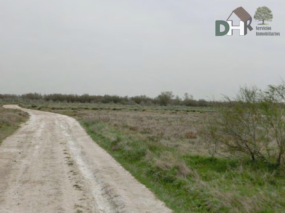 Venta de terreno en Toledo