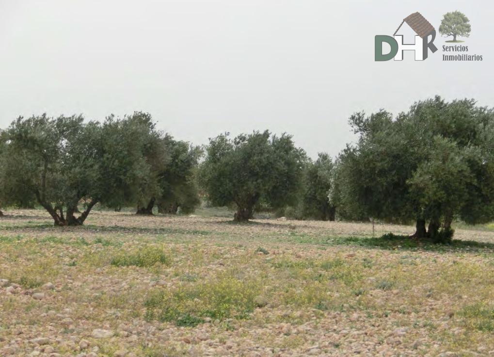 Venta de terreno en Toledo