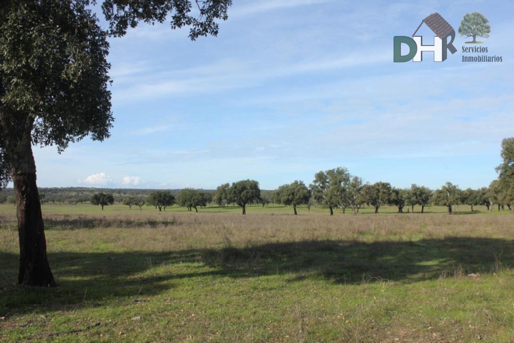 Venta de terreno en Badajoz