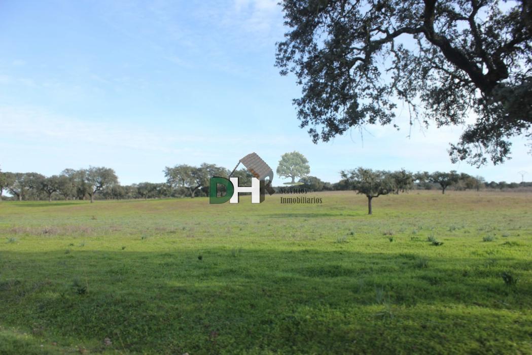 Venta de terreno en Badajoz