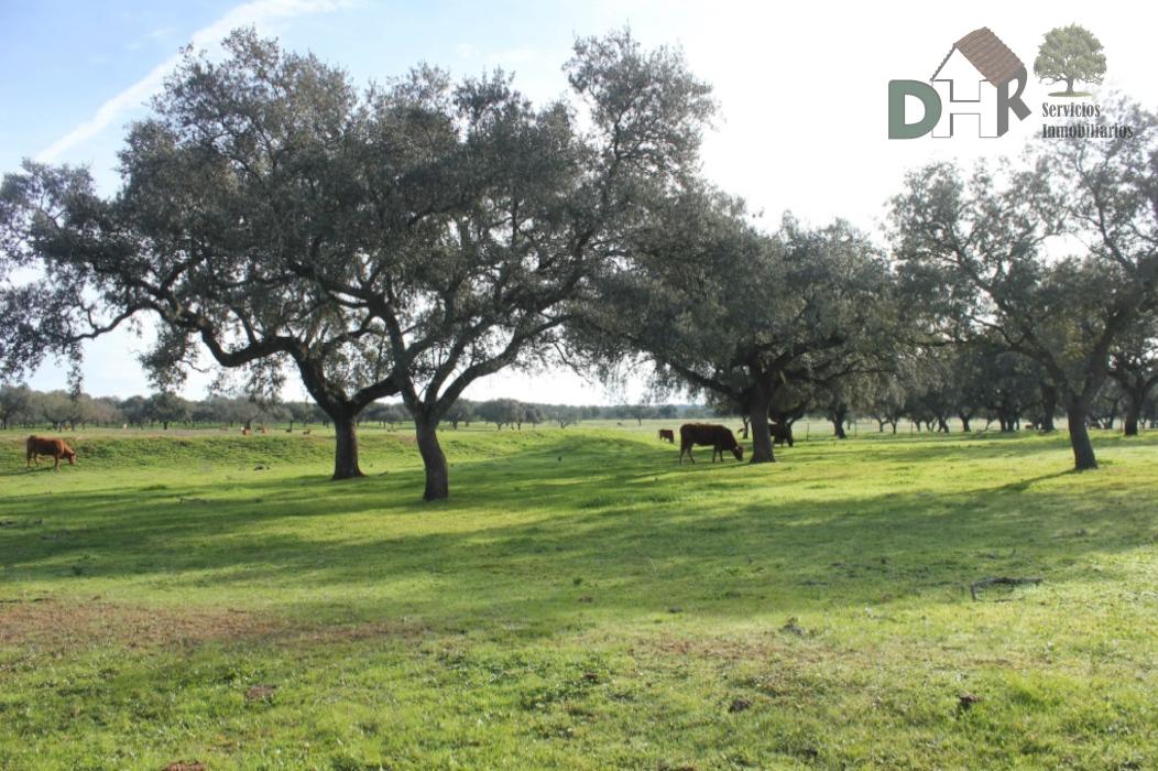 Venta de terreno en Badajoz