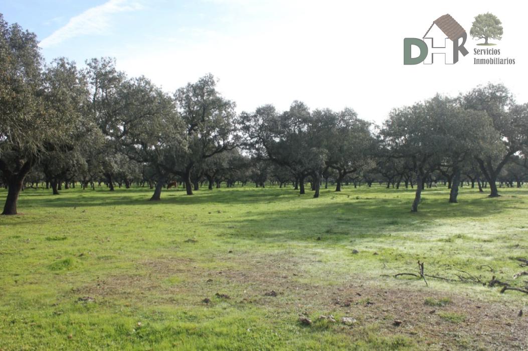 Venta de terreno en Badajoz