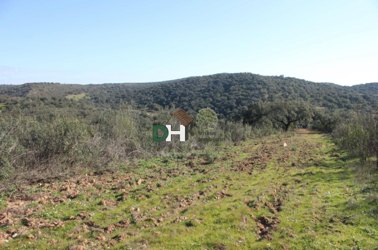 Venta de terreno en Badajoz