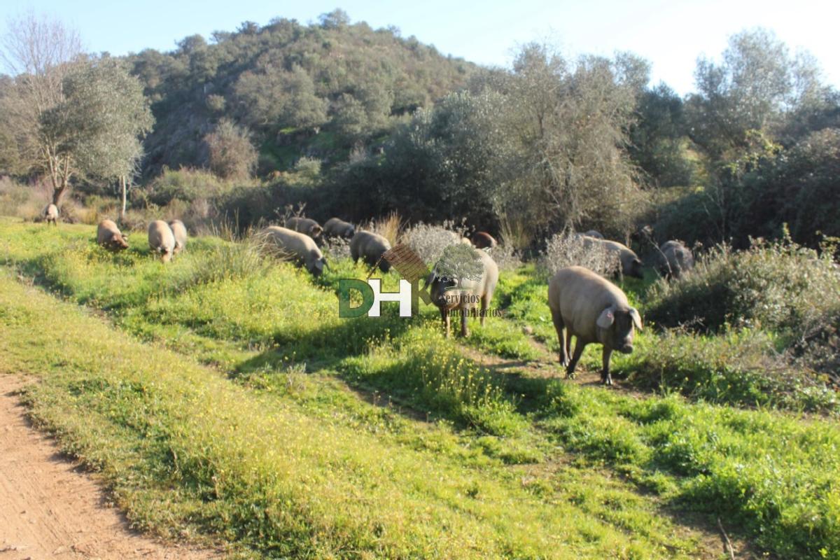 Venta de terreno en Badajoz