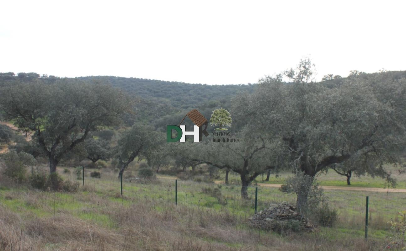 Venta de terreno en Badajoz